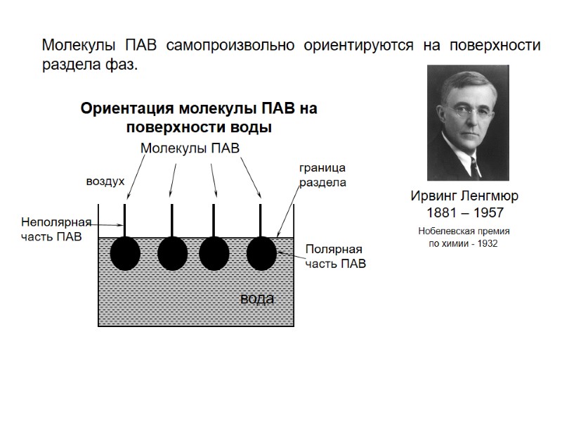 Молекулы ПАВ самопроизвольно ориентируются на поверхности раздела фаз. Молекулы ПАВ самопроизвольно ориентируются на поверхности раздела фаз.